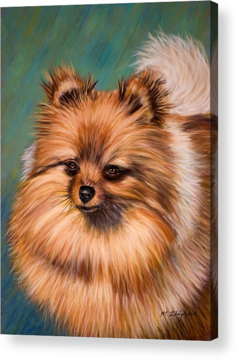 Pomeranian Acrylic Print featuring the painting Peaches and Cream by Michelle Wrighton