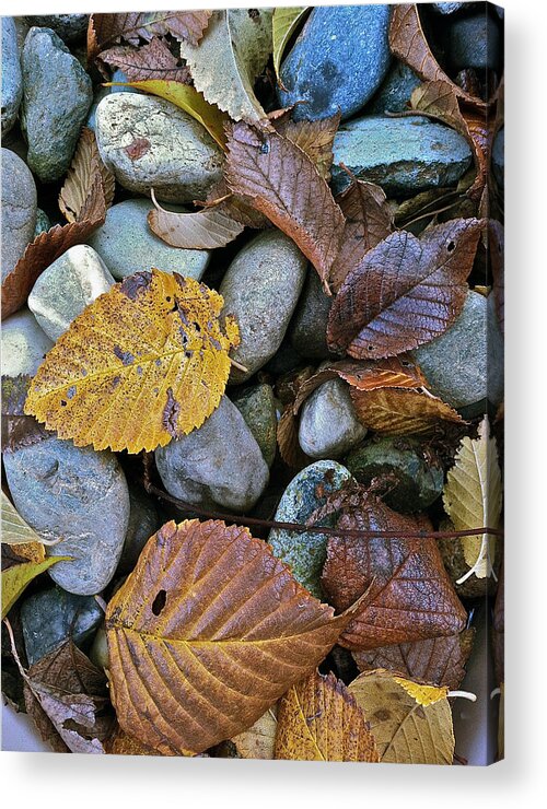 Leaves Acrylic Print featuring the photograph Rocks And Leaves by Bill Owen