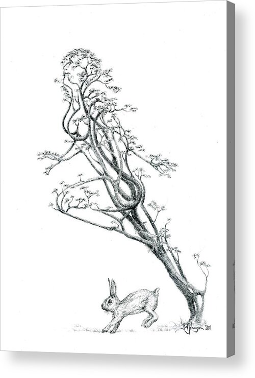 Tree Dancer Acrylic Print featuring the drawing The Swift by Mark Johnson