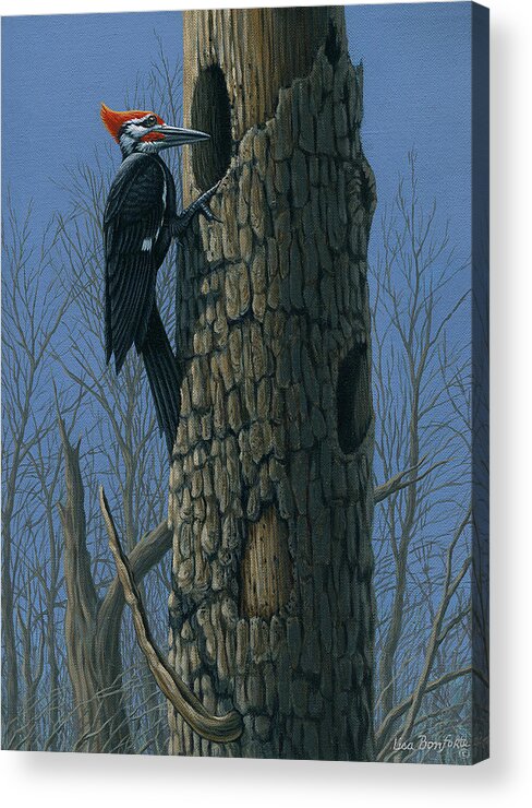Woodpecker Acrylic Print featuring the painting Woodpecker by Lisa Bonforte