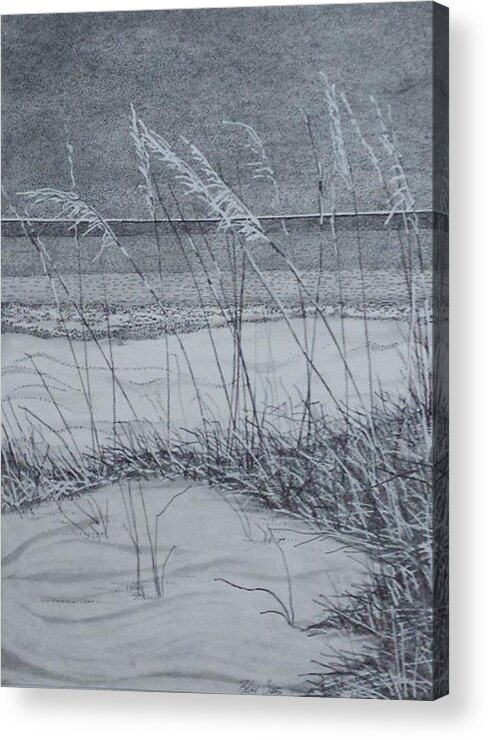 Pen And Ink Acrylic Print featuring the painting Beach Grass #1 by Betsy Carlson Cross