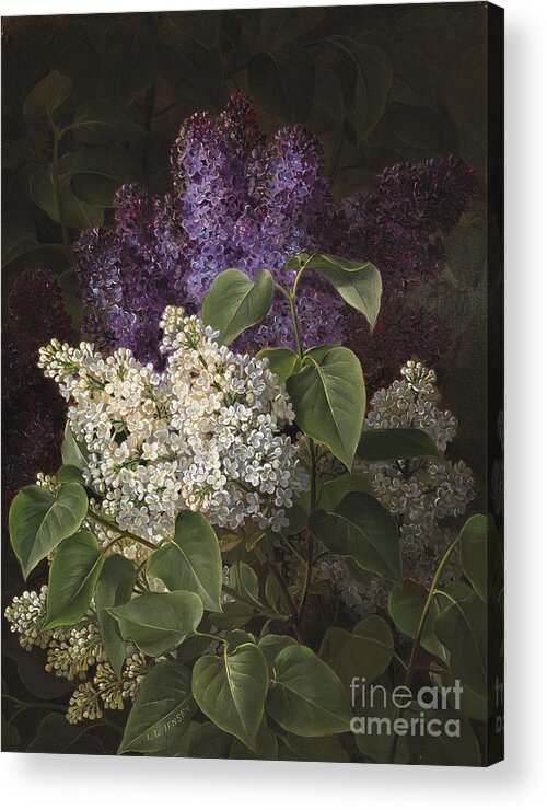 Johan Laurentz Jensen 1800 Acrylic Print featuring the painting Flowers #1 by Celestial Images