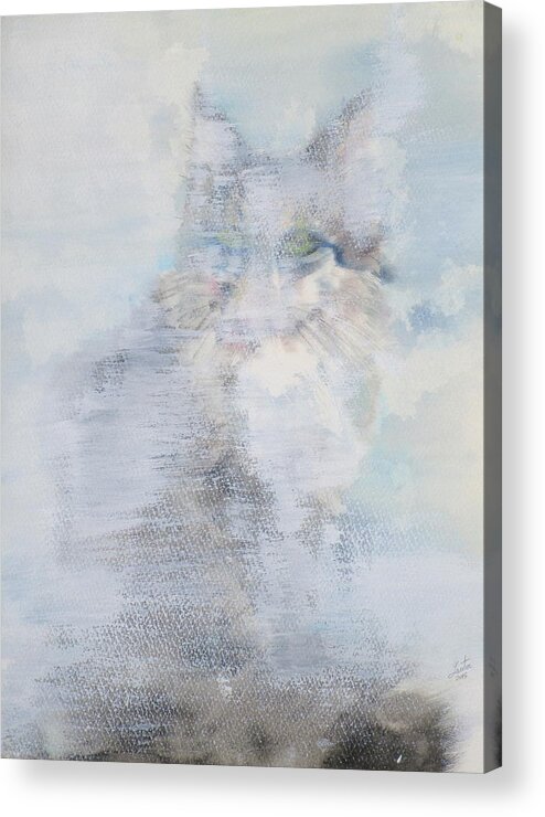 Cat Acrylic Print featuring the painting An Unchanging Will #2 by Fabrizio Cassetta