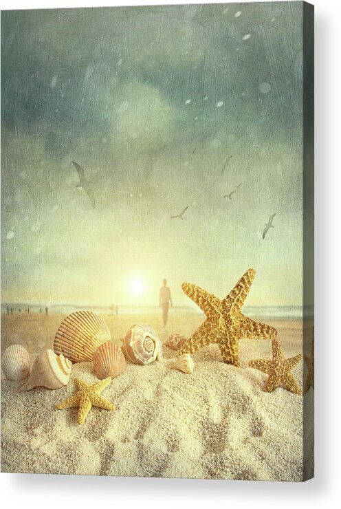 Aquatic Acrylic Print featuring the photograph Starfish and seashells at the beach #4 by Sandra Cunningham