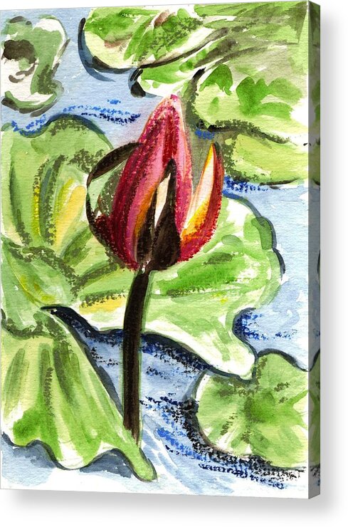 Water Lilies Acrylic Print featuring the painting A Birth Of A Life by Harsh Malik