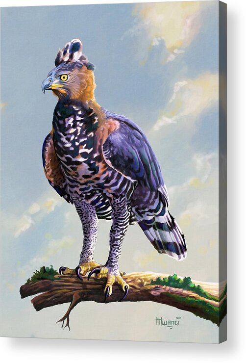 Kenya Acrylic Print featuring the painting African Crowned Eagle by Anthony Mwangi