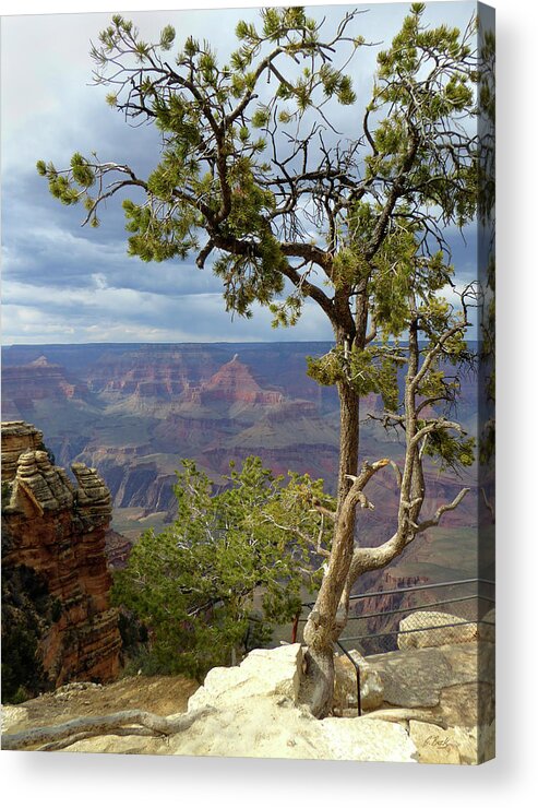 Beautiful Acrylic Print featuring the photograph Along the Rim by Gordon Beck