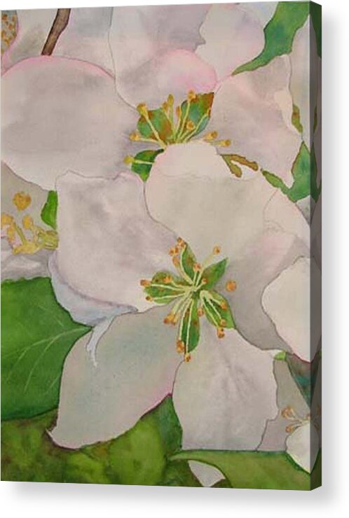 Apple Blossoms Acrylic Print featuring the painting Apple Blossoms by Sharon E Allen