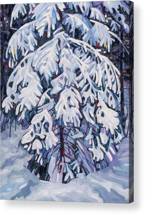 Spruce Acrylic Print featuring the painting April Snow by Phil Chadwick
