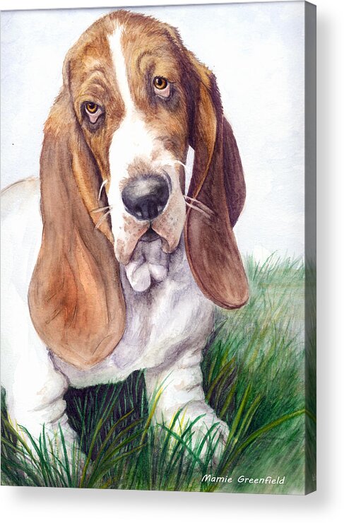 Portraits Acrylic Print featuring the painting Barney by Mamie Greenfield