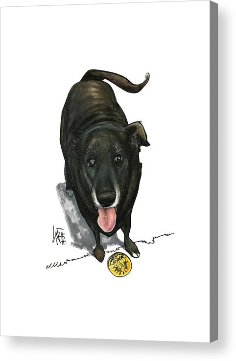 Pet Portrait Acrylic Print featuring the drawing Bartlett 3021 by John LaFree