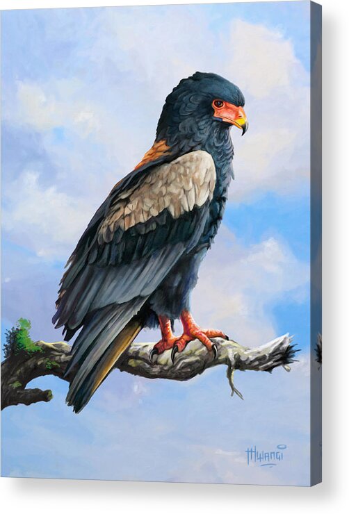 Feathers Acrylic Print featuring the painting Bateleur Eagle by Anthony Mwangi