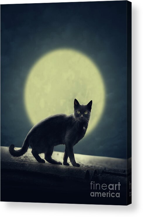 Halloween Acrylic Print featuring the digital art Black cat and full moon by Jelena Jovanovic