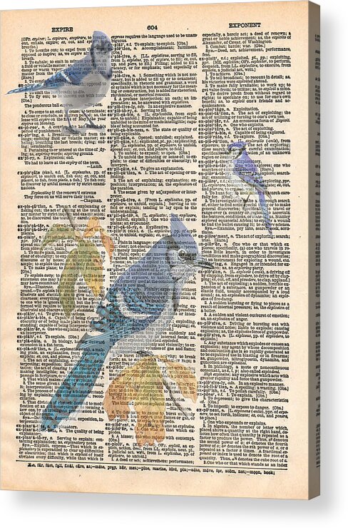 Bluejay Acrylic Print featuring the mixed media Blue Jay Expire by Marcus Jules