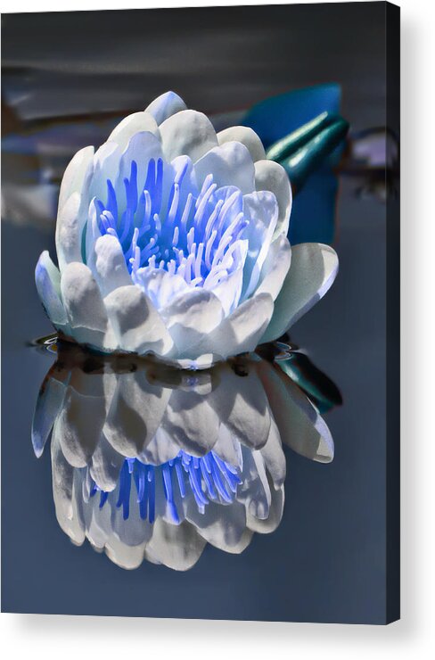 Blue Reflections Acrylic Print featuring the photograph Blue Reflections by Wes and Dotty Weber
