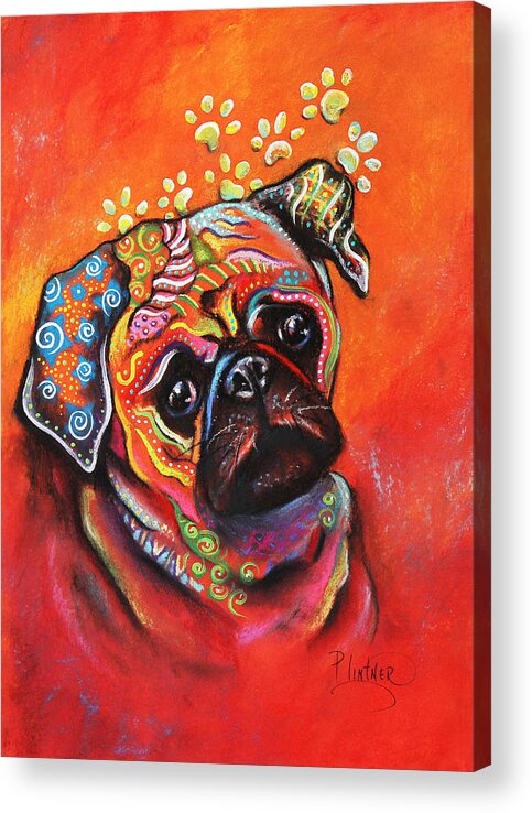 Pug Art Print Acrylic Print featuring the mixed media Pug by Patricia Lintner