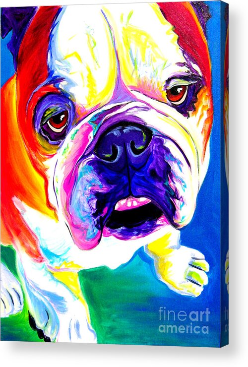 English Acrylic Print featuring the painting Bulldog - Stanley by Dawg Painter