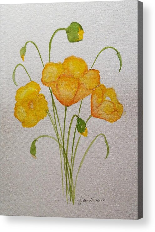 Yellow Poppies Acrylic Print featuring the painting California Poppin' by Susan Nielsen