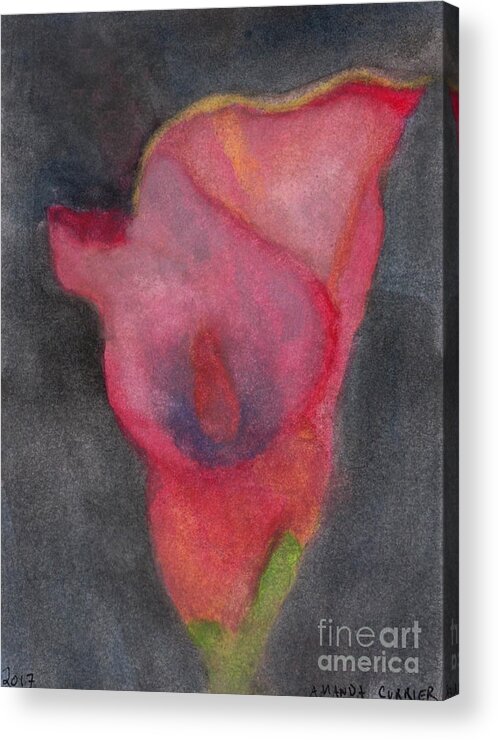 Calla Acrylic Print featuring the painting Calla Lily by Amanda Currier