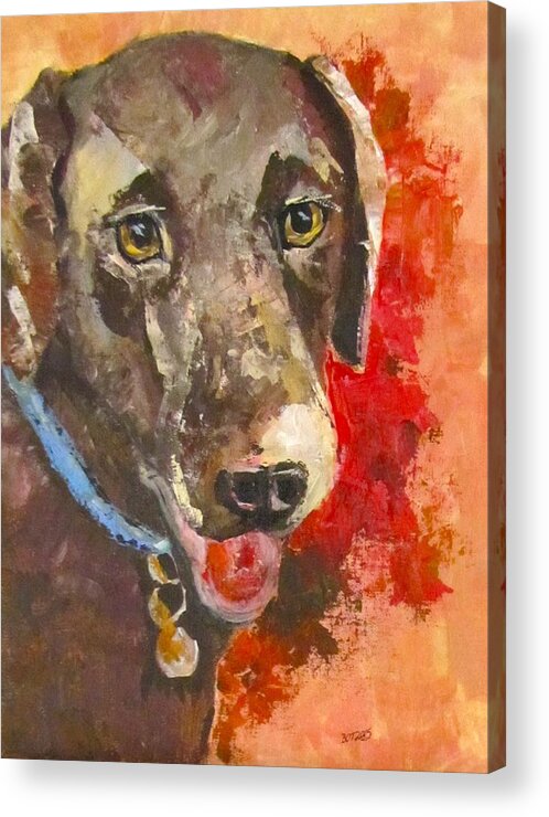Dog Acrylic Print featuring the painting Chocolate by Barbara O'Toole
