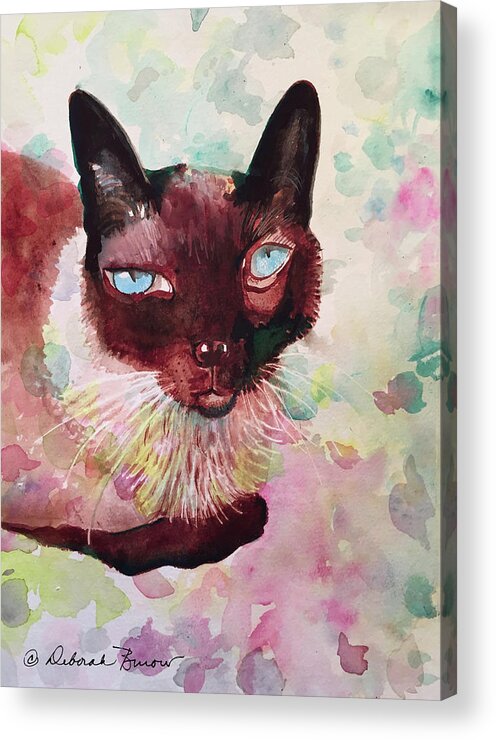 Siamese Cat Acrylic Print featuring the painting Cleo by Deborah Burow