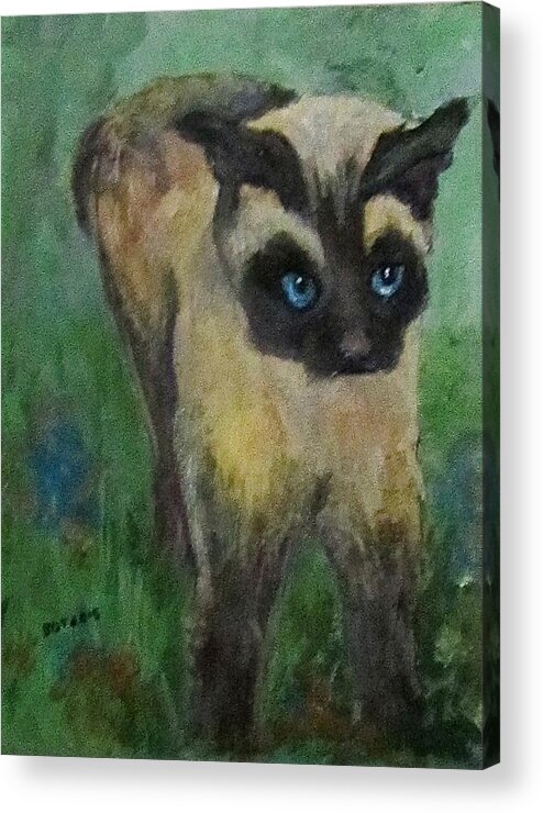 Cat Acrylic Print featuring the painting Coco by Barbara O'Toole