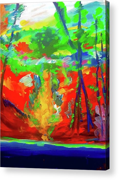  Acrylic Print featuring the painting Colorful Woods 2 by Lilliana Didovic
