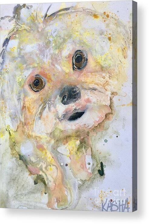 Dog Acrylic Print featuring the painting Compact by Kasha Ritter