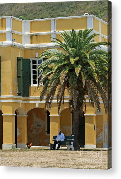 Buildings Acrylic Print featuring the photograph Cruzan Man on a Bench by Mary Haber