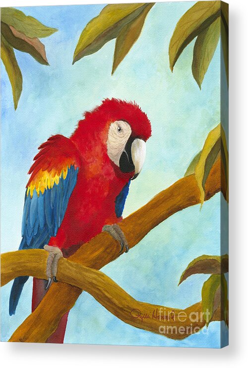 Mccaw Acrylic Print featuring the painting Dont Ruffle My Feathers by Phyllis Howard
