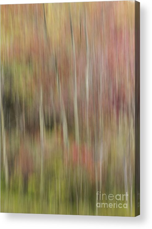 Vertical Pan Acrylic Print featuring the photograph Down by the River by Lili Feinstein