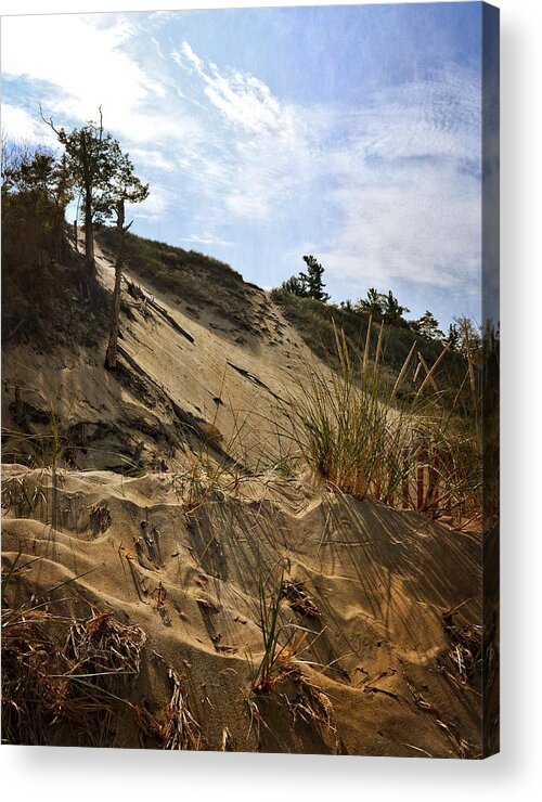 Dunes Acrylic Print featuring the photograph Dune and Blue Sky by Michelle Calkins