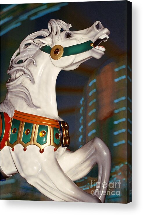 Carousel Acrylic Print featuring the photograph carousel horse photographs - Dappled Gray Dancer by Sharon Hudson