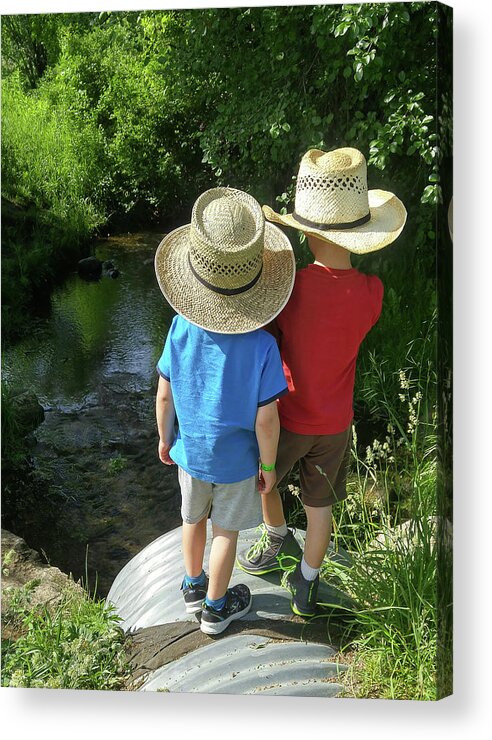 Hats Acrylic Print featuring the photograph Friends by Nick Mares