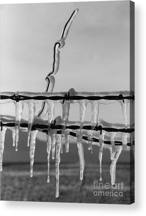 Ice Acrylic Print featuring the photograph Frozen Conclave-Signed-#015 by J L Woody Wooden