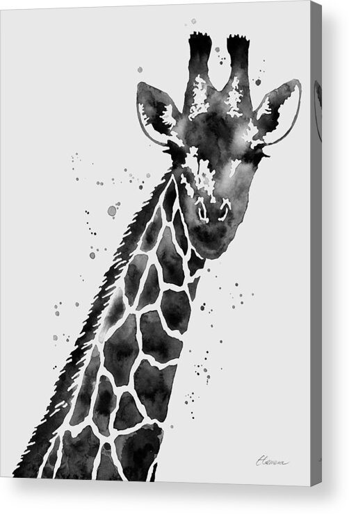 Giraffe Acrylic Print featuring the painting Giraffe in Black and White by Hailey E Herrera