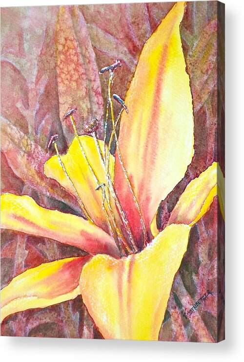 Watercolor Acrylic Print featuring the photograph Golden Lily by Carolyn Rosenberger