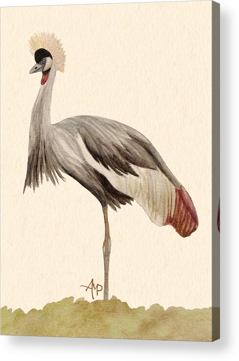 Grey Crowned Crane Acrylic Print featuring the painting Grey Crowned Crane by Angeles M Pomata