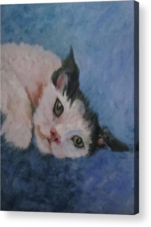Cat Acrylic Print featuring the painting Hattie Smith by Barbara O'Toole