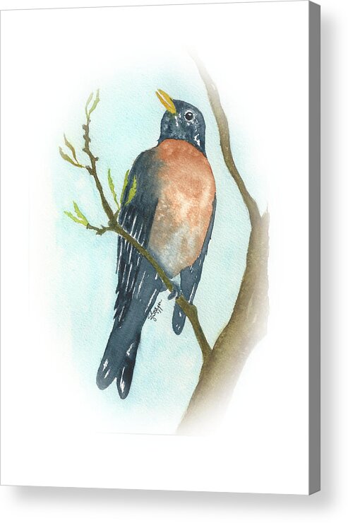 Robin Acrylic Print featuring the painting Haughty Robin by Elise Boam
