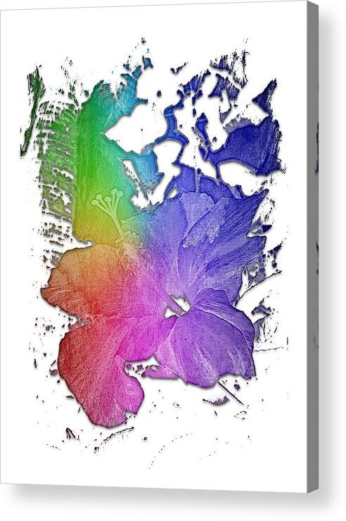 Cool Acrylic Print featuring the photograph Hibiscus S D Z 2 Cool Rainbow 3 Dimensional by DiDesigns Graphics
