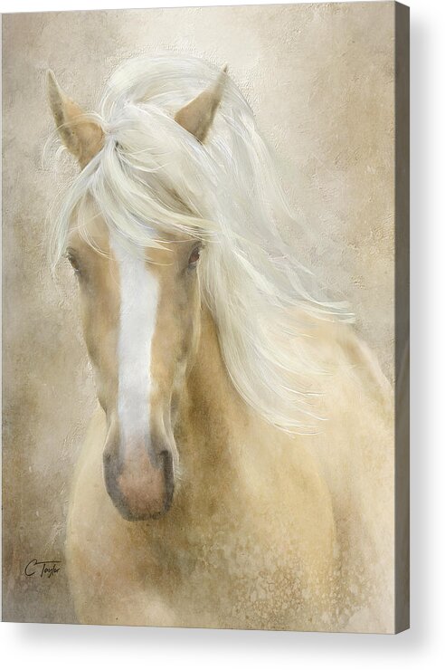 Horses Acrylic Print featuring the painting Spun Sugar by Colleen Taylor