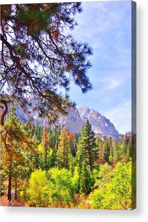 Sky Acrylic Print featuring the photograph High Sierra by Marilyn Diaz