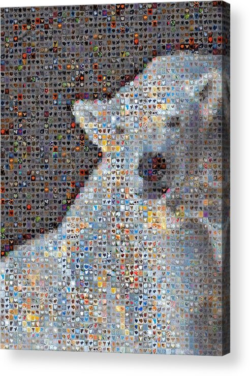 Heart Images Acrylic Print featuring the photograph Holiday Hearts Polar Bear Number Two by Boy Sees Hearts