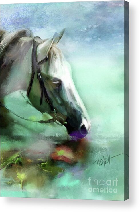 Horses Acrylic Print featuring the mixed media Horse Andalusian by Mark Tonelli