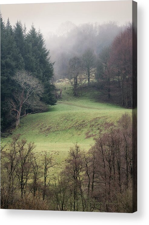 Landscapes Acrylic Print featuring the photograph Into the Mist by William Beuther