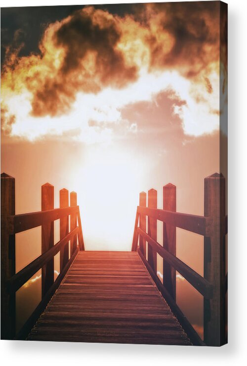 Sun Acrylic Print featuring the photograph Into The Sun by Wim Lanclus