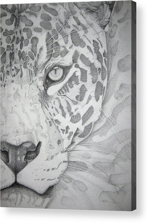  Jaguar Photographs Acrylic Print featuring the drawing Jaguar Pointillism by Mayhem Mediums