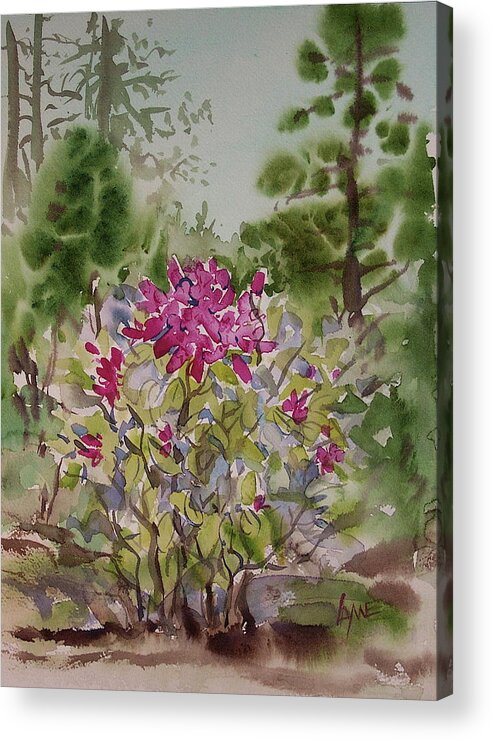 Plein Air Painted Completely On Site - No Studio Touch Up. True Plein Air Work. Acrylic Print featuring the painting Japanese Garden Rhodie 1 by Lynne Haines