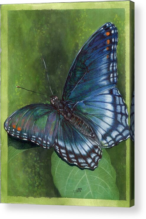 Insects Acrylic Print featuring the mixed media Jewel Tones by Barbara Keith